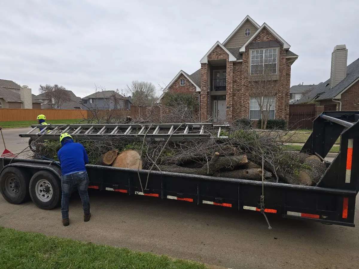 Expert Tree Fertilization with proper safety equipment in Kaplan